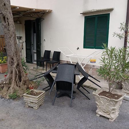 La Casina Fra Gli Olivi Villa Massarosa Eksteriør billede