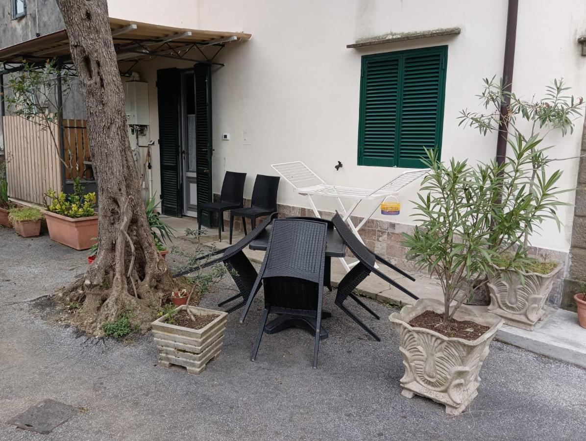 La Casina Fra Gli Olivi Villa Massarosa Eksteriør billede